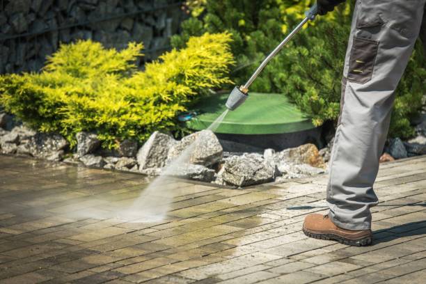 Best Deck and Patio Pressure Washing in Louise, TX